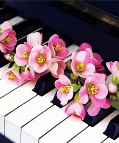 Aesthetic Pink Flowers And Piano paint by numbers