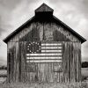American Black And White Barn paint by numbers