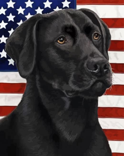 Black Lab With Flag paint by numbers