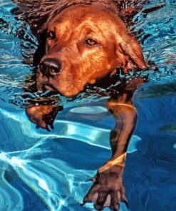 Brown Dog In Water paint by numbers