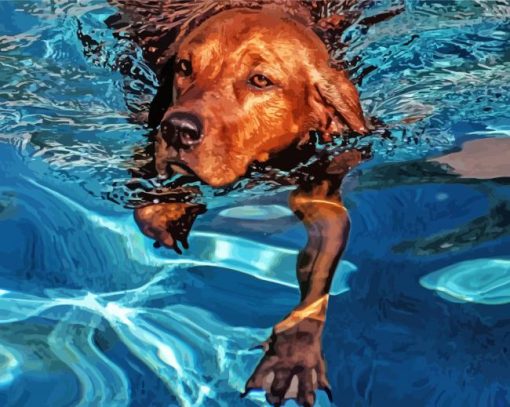 Brown Dog In Water paint by numbers