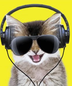 Cat Wearing Headphones And Sunglasses paint by number