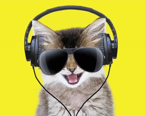Cat Wearing Headphones  And Sunglasses   paint by number