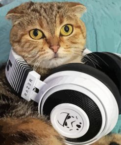 Cool Cat With Headphones paint by number
