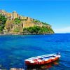 Beautiful Ischia Island paint by number