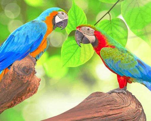 wonderful world of birds paint by numbers