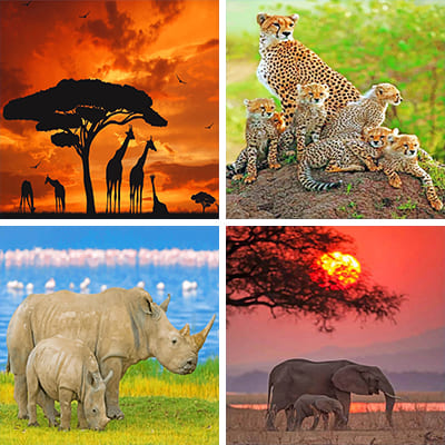 african-animals-painting-by-numbers