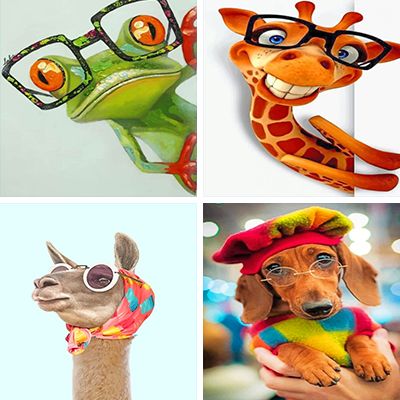 animal-with-glasses-painting-by-numbers