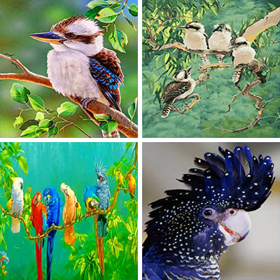 australian-birds-painting-by-numbers