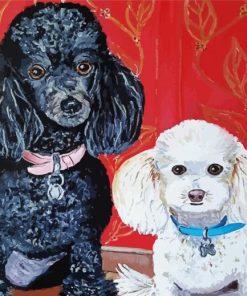 Black And White Poodles paint by numbers