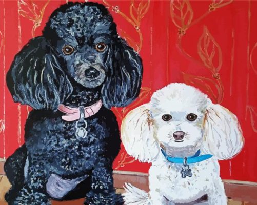 Black And White Poodles paint by numbers