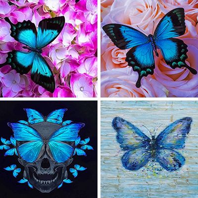 blue-butterfly-painting-by-numbers