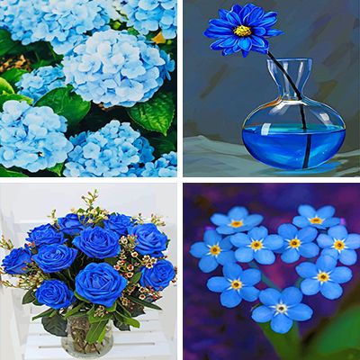 blue-flower-painting-by-numbers