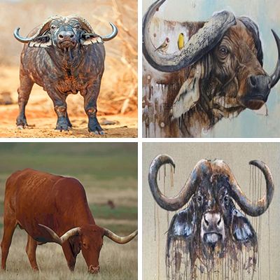 buffalo-painting-by-numbers