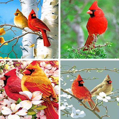 cardinals-painting-by-numbers