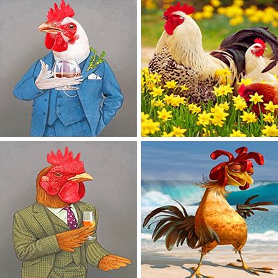 chickens-painting-by-numbers