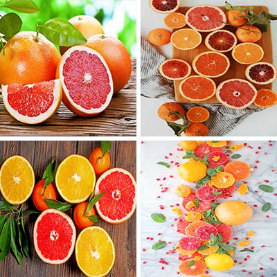 citrus-painting-by-numbers