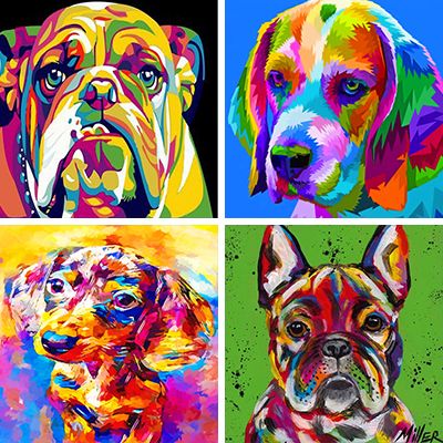colourful-dog-painting-by-numbers