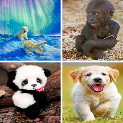cute-animal-painting-by-numbers