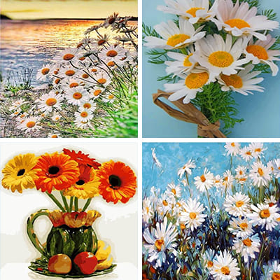 daisies-painting-by-numbers