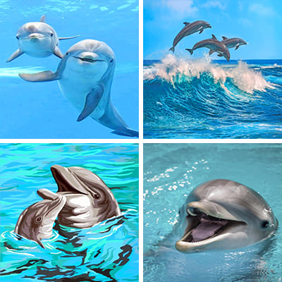dolphins-painting-by-numbers