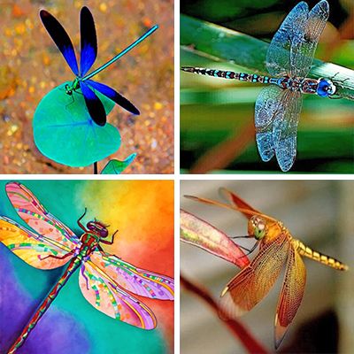 dragonfly-painting-by-numbers