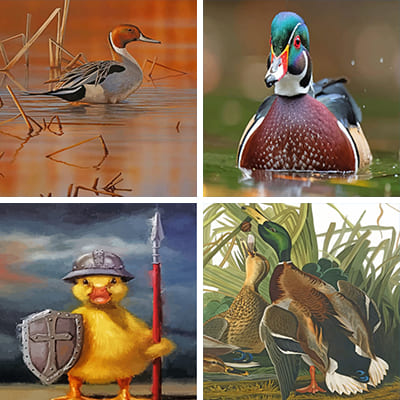 ducks-painting-by-numbers
