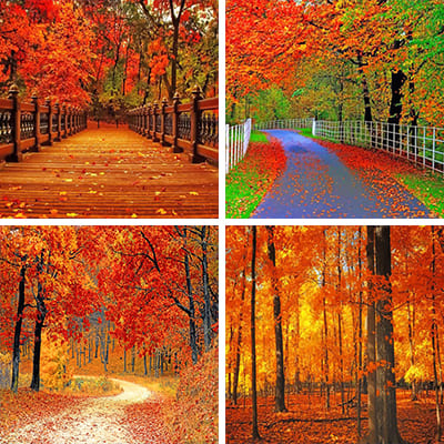fall-painting-by-numbers