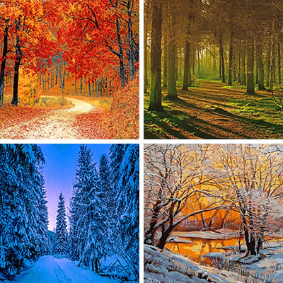 forests-painting-by-numbers