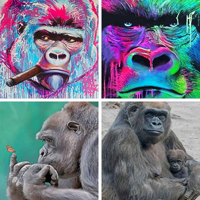 gorillas-painting-by-numbers