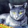 Grey White Cat paint by numbers