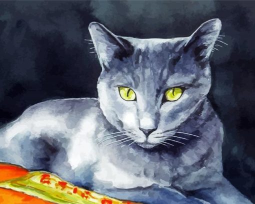 Grey White Cat paint by numbers