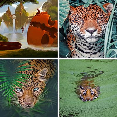 jungles-painting-by-numbers