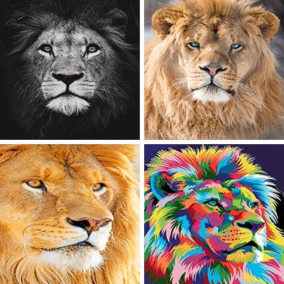 lion-head-painting-by-numbers