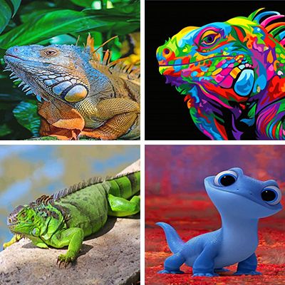 lizards-painting-by-numbers
