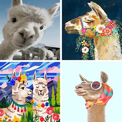 llamas-painting-by-numbers