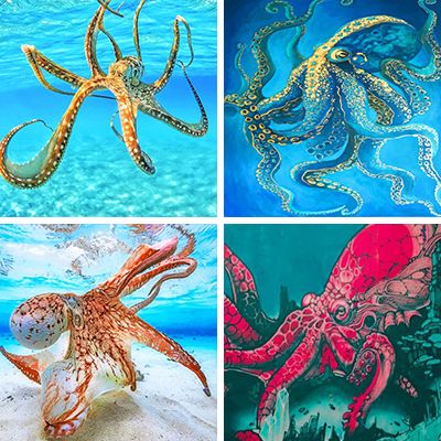 octopus-painting-by-numbers