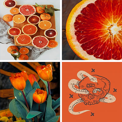 orange-painting-by-numbers