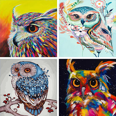 owls painting by numbers