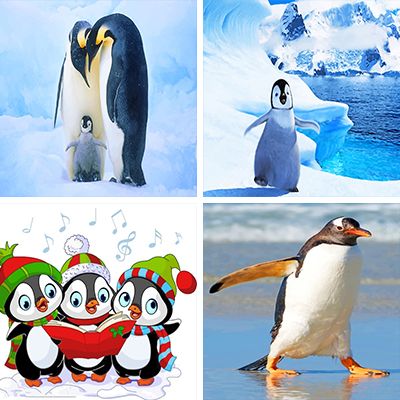 penguins-painting-by-numbers
