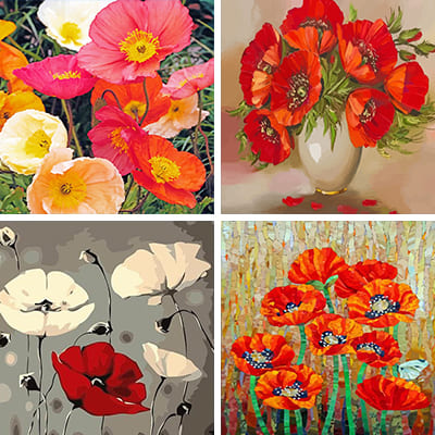 poppy-painting-by-numbers