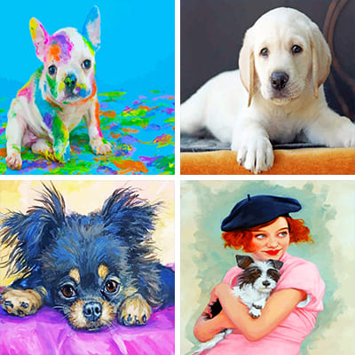puppy-painting-by-numbers