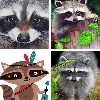 racoons-painting-by-numbers