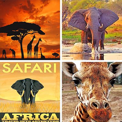 safari-painting-by-numbers