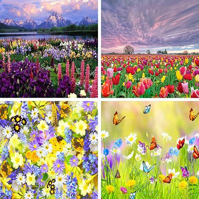spring-painting-by-numbers