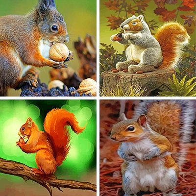 squirrels-painting-by-numbers