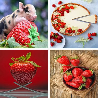 strawberry-painting-by-numbers