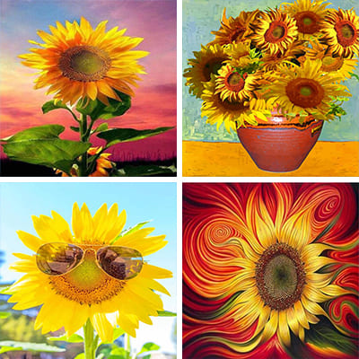 sunflowers-painting-by-numbers
