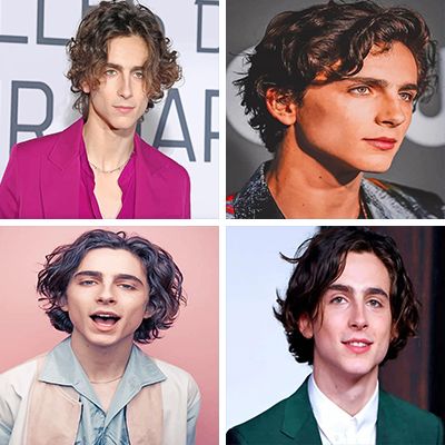 timothee-chalamet-painting-by-numbers