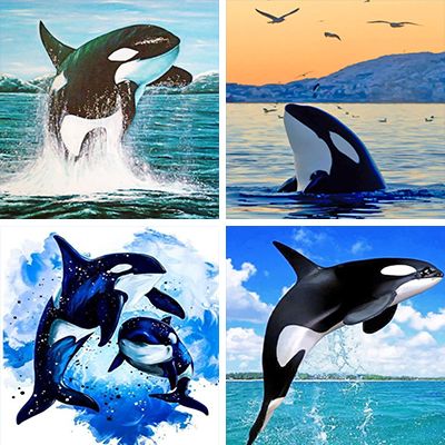 whales-painting-by-numbers
